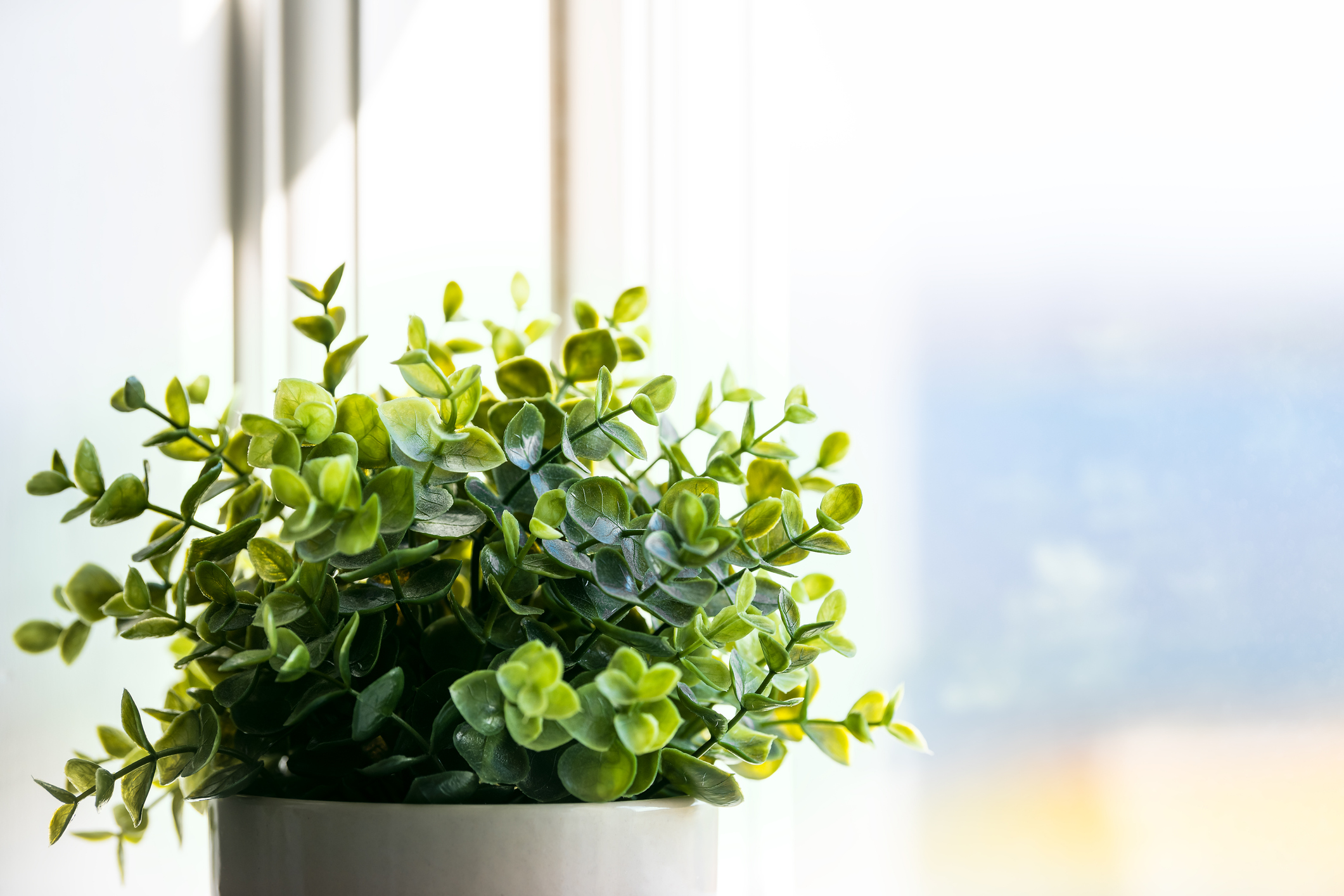 Viridian Glass – Making Sense of Glass: A Guide to Basic Performance Data Interpretation