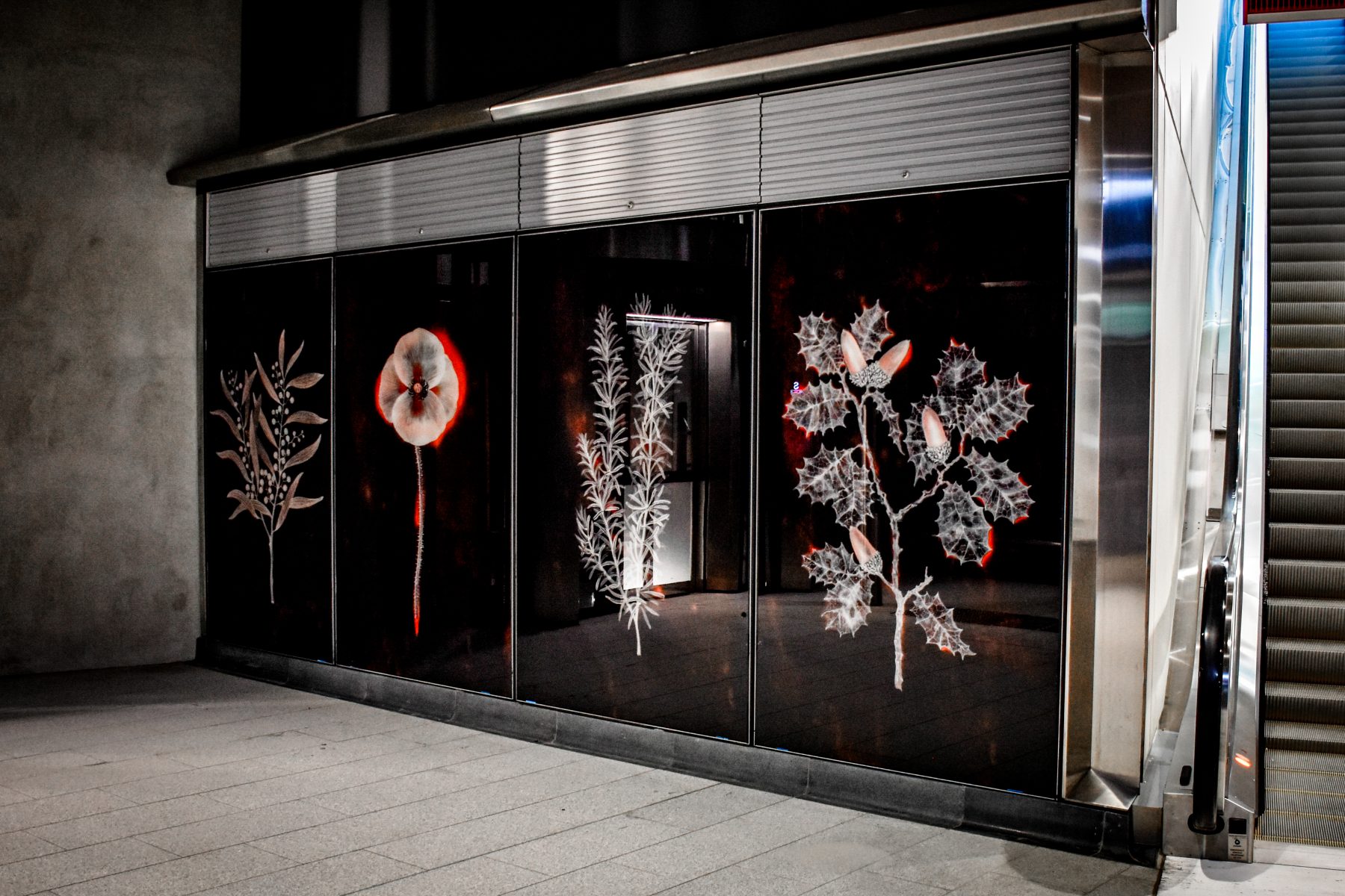 Viridian Glass Case Study – Anzac Station